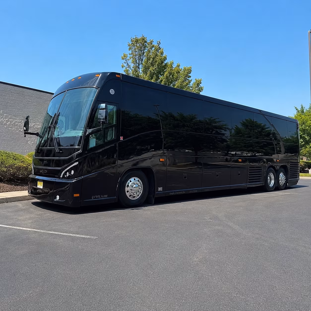 wherever your group is headed a galveston cruise transfer is easy with beaumontcoachbuscompany com